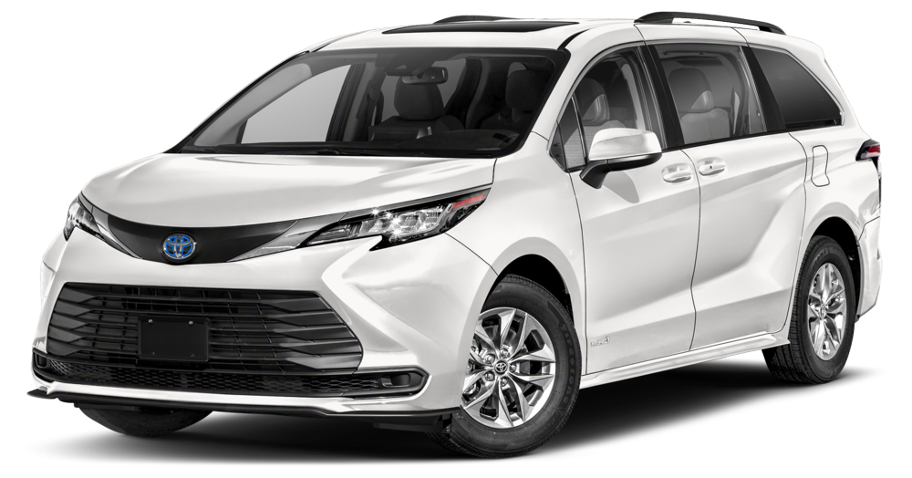 Front & Sliding Doors Bug Screens for Toyota Sienna
