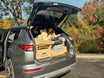 Kit de camping pour voiture - SUV, Hatchback and Crossovers | VANPACKERS®