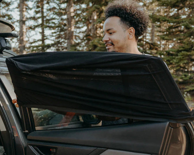 Car window screens